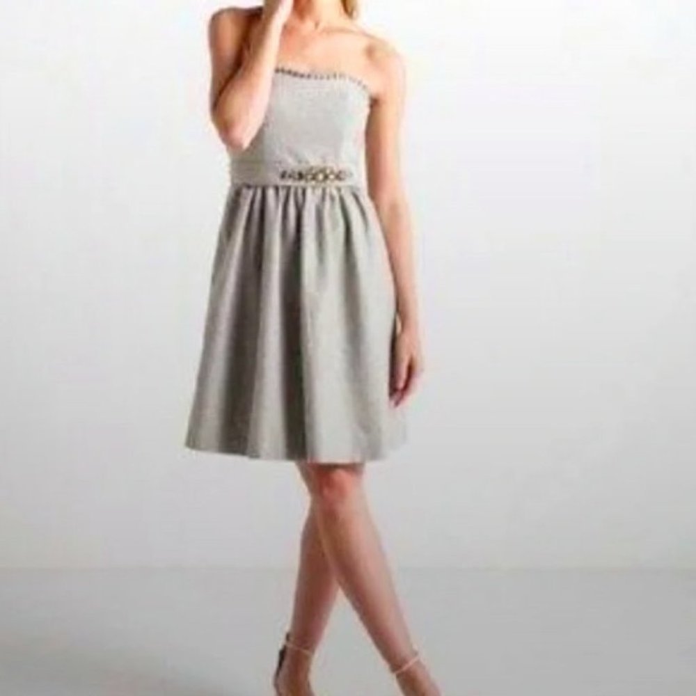 Banana Republic Gray Strapless Belted Dress